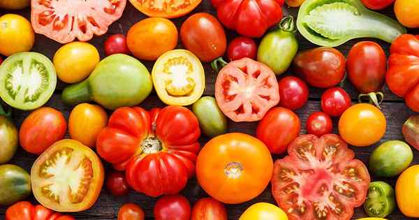 10 Sebab Teratas untuk Mengasihi Tomato dan Tambahkan Lebih Banyak Ke Diet Anda