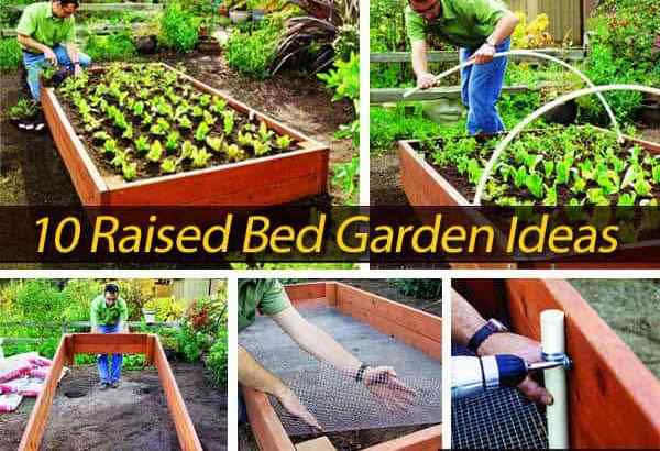 10 idéias de jardim de cama elevadas do pôr do sol