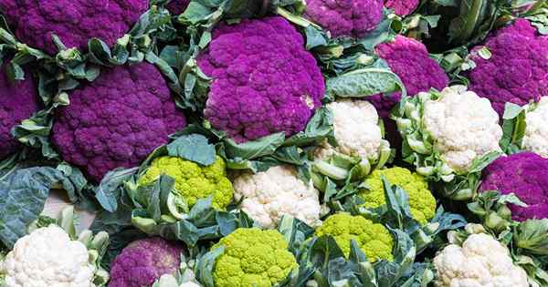 13 de las mejores variedades de coliflor para el jardín vegetariano