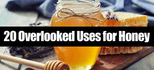 20 usos pasados ​​por alto para la miel
