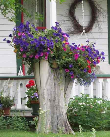 Comment décorer votre jardin avec de vieux souches d'arbre