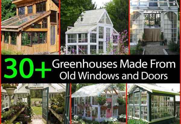 30 + rumah kaca terbuat dari jendela dan pintu lama - ditambah lagi ..