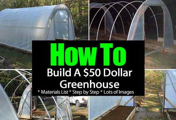 Comment construire une serre de 50 $