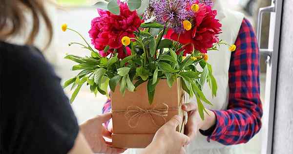 7 conseils dont vous avez besoin pour garder les fleurs fraîches fabuleuses