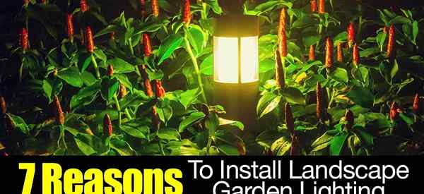 7 raisons d'installer l'éclairage du jardin paysagiste
