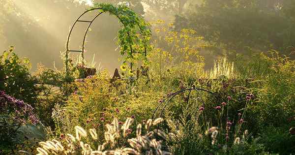 Guía de diseño de plantación de jardines de otoño crea un oasis acogedor y acogedor