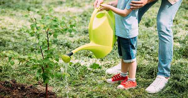 11 de los mejores libros con temas de jardinería para niños