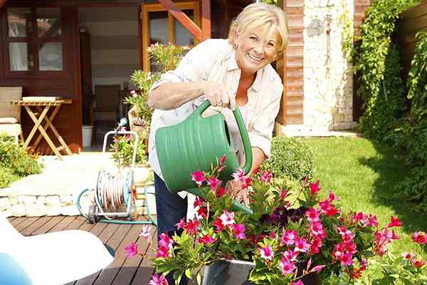 19 najlepszych pomysłów na prezenty ogrodnicze na Dzień Matki