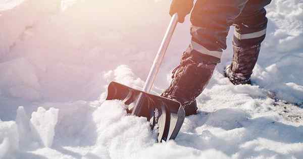 Ihr Must-Have-Werkzeug in diesem Winter 7 Top-Snow-Schaufeln mit 7 Top-bewerteten