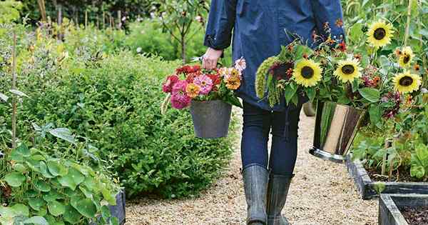Una revisión de In Bloom Growing, Harvesting y Arregling Flowers de cosecha propia durante todo el año
