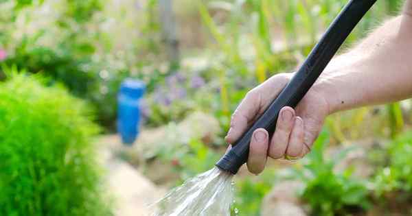 Lass es fließen! 7 der besten Gartenschläuche, die Sie kaufen können