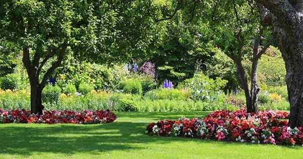 Memilih Perennials berbunga yang sempurna 5 untuk taman teduh anda