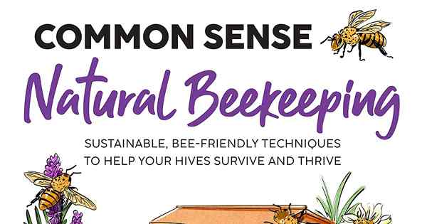 Wenden Sie sich an die Biene mit Kim Flottum und Stephanie Bruneaus gesunder Menschenverstand natürlicher Imkerei