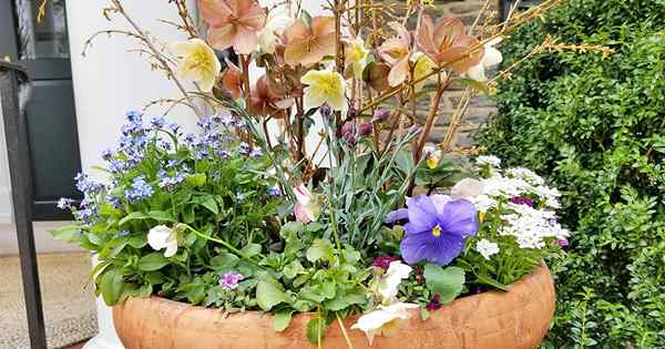 Concevoir et construire de magnifiques planteurs de printemps pour les porches et les patios