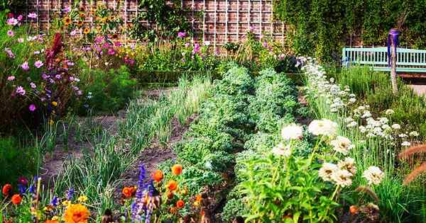Garden Folklore en abundancia revisando mitos de jardín populares