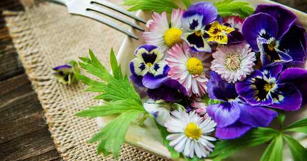 Wie man essbare Blumen erntet