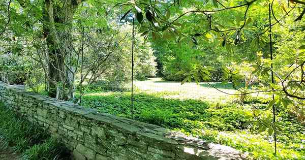 Guia DIY Como instalar uma cerca de veado para manter a vida selvagem fora do jardim
