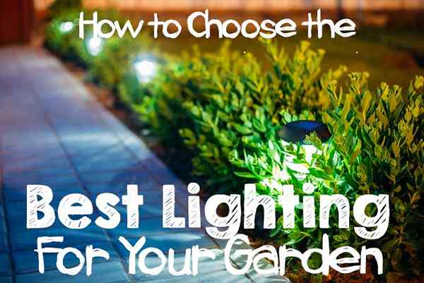 Cómo elegir la mejor iluminación para su jardín