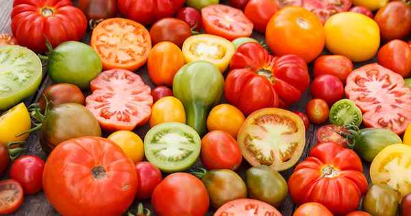 Bisakah Anda membekukan tomat segar? Tips untuk membekukan tanaman buatan sendiri