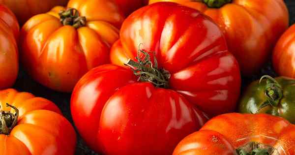 Wie man Beefsteak -Tomaten pflanzt und züchtet