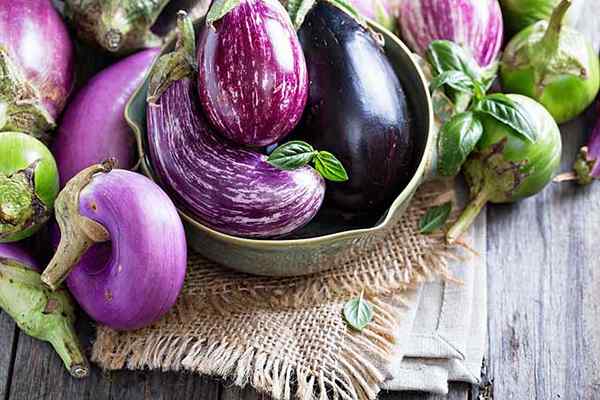 Cómo plantar y cultivar berenjenas en su huerto