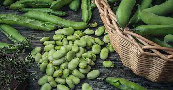 Wie man Fava -Bohnen pflanzt und wächst