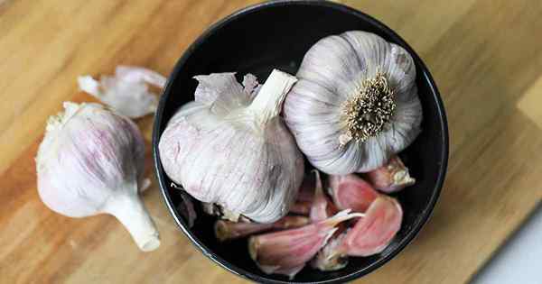 Como plantar e cultivar alho em estrela persa