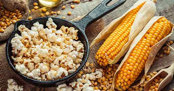 Cara menanam dan menanam popcorn untuk kernel gourmet DIY