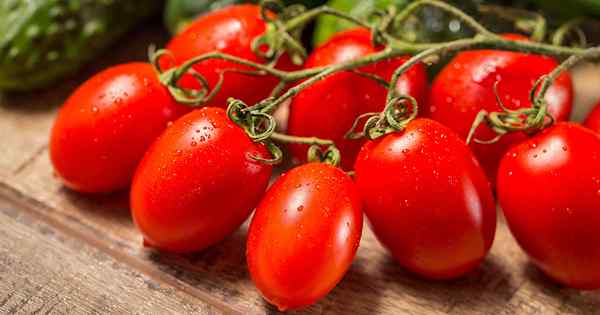 Petua untuk tomato Roma yang semakin meningkat