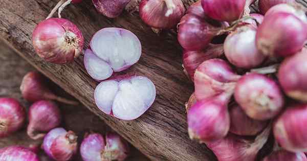 Cómo plantar y cultivar chalotes