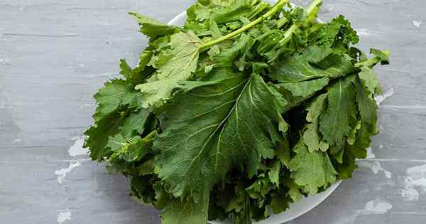 Cara tumbuh sayur -sayuran lobak lazat di rumah