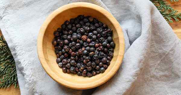 Wann und wie man Wacholderbeeren erntet