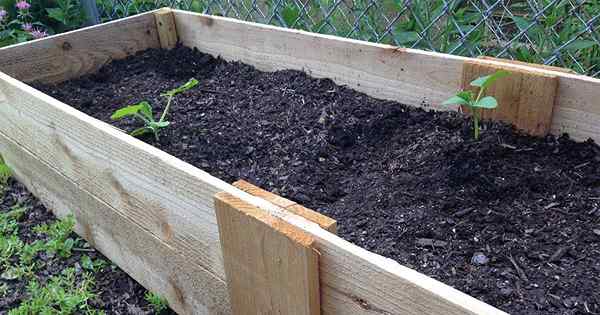 Jadikan ini mudah diy yang dibangkitkan katil penyelesaian yang sempurna untuk berkebun veggie