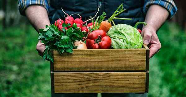 Cara merencanakan tata letak terbaik untuk kebun sayur Anda