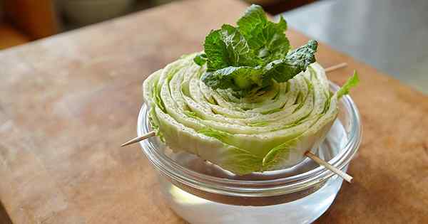 Comment repousser Bok Choy à partir de restes