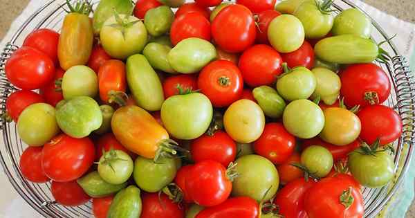 Cómo almacenar tu cosecha de tomate