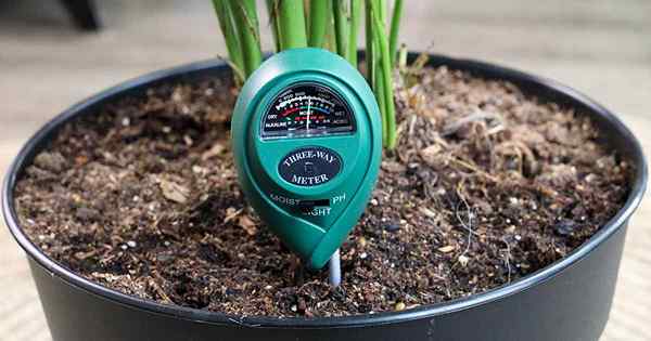 Como usar um medidor de umidade do solo