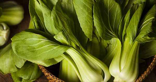 Bok Choy gegen. Baby Bok Choy, was ist der Unterschied?