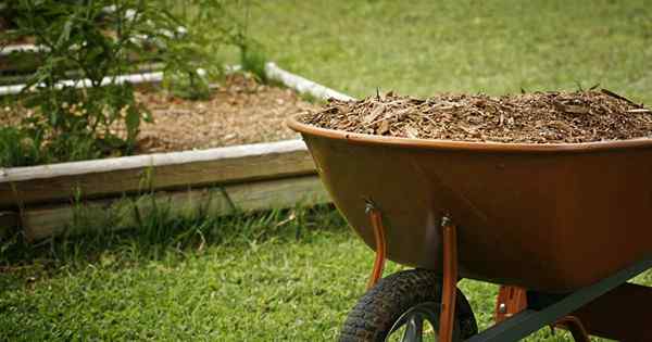 Como usar a cobertura para jardinagem de baixa manutenção
