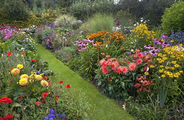 Reinventando o jardim da casa para encaixar o estilo de vida ocupado de hoje