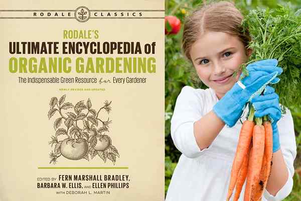 Explorando a enciclopédia final de Rodale de jardinagem orgânica