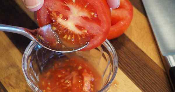 Wie man Tomatensamen zum Pflanzen rettet