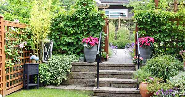 Escalando con la guía del jardinero de Jessica Walliser para plantas compactas