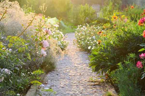 Wskazówki, jak utrzymać silny ogród późnego letniego