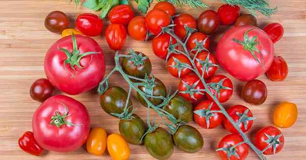 15 des meilleurs hybrides de tomate pour votre patch végétarien