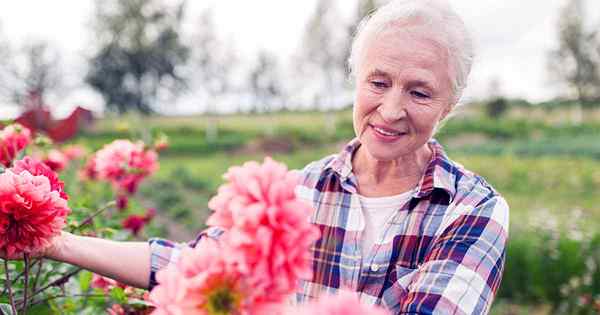 Pourquoi les personnes âgées devraient jardiner (plus 7 astuces)