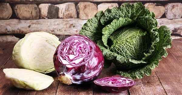 Quelle est la nutritive du chou cru?