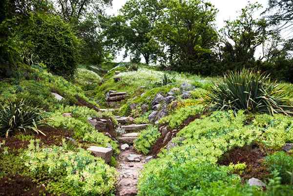 Les notes d'un jardinier font la paix avec des rochers