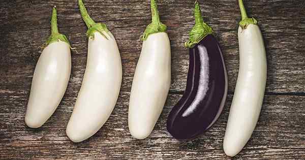 9 des meilleures variétés d'aubergines blanches