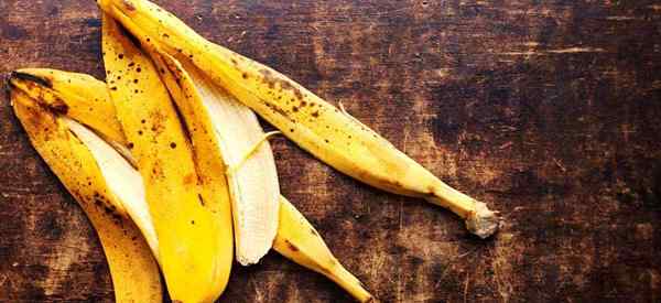 Peels Banana no jardim - (12 Como idéias e usos)